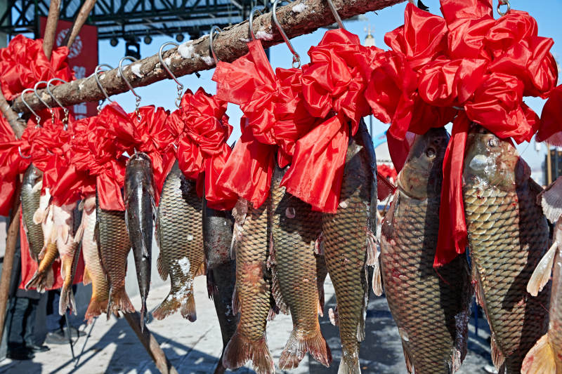 冬捕湖鱼挂在广场上