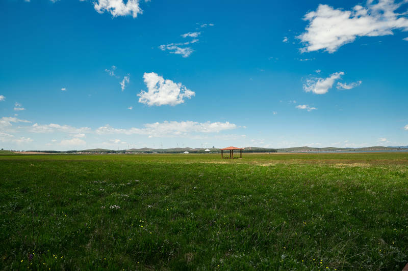 中国河北省张家口沽源县天鹅湖景区湿地花海