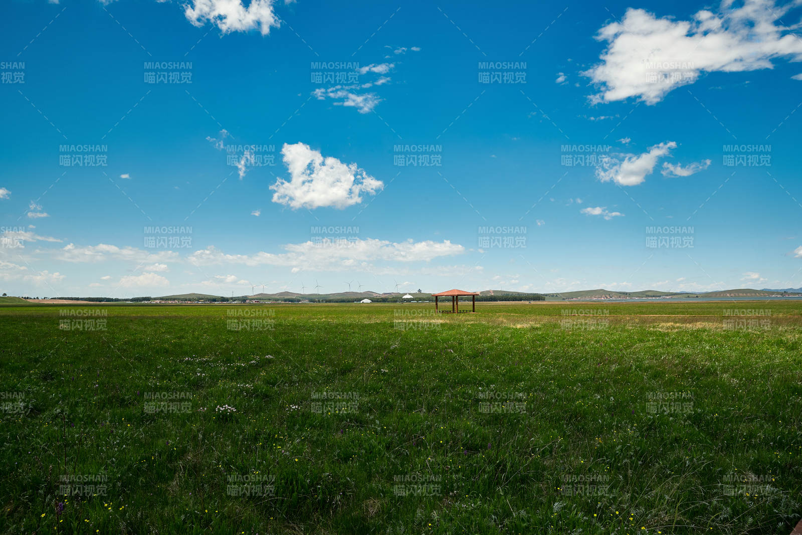 中国河北省张家口沽源县天鹅湖景区湿地花海