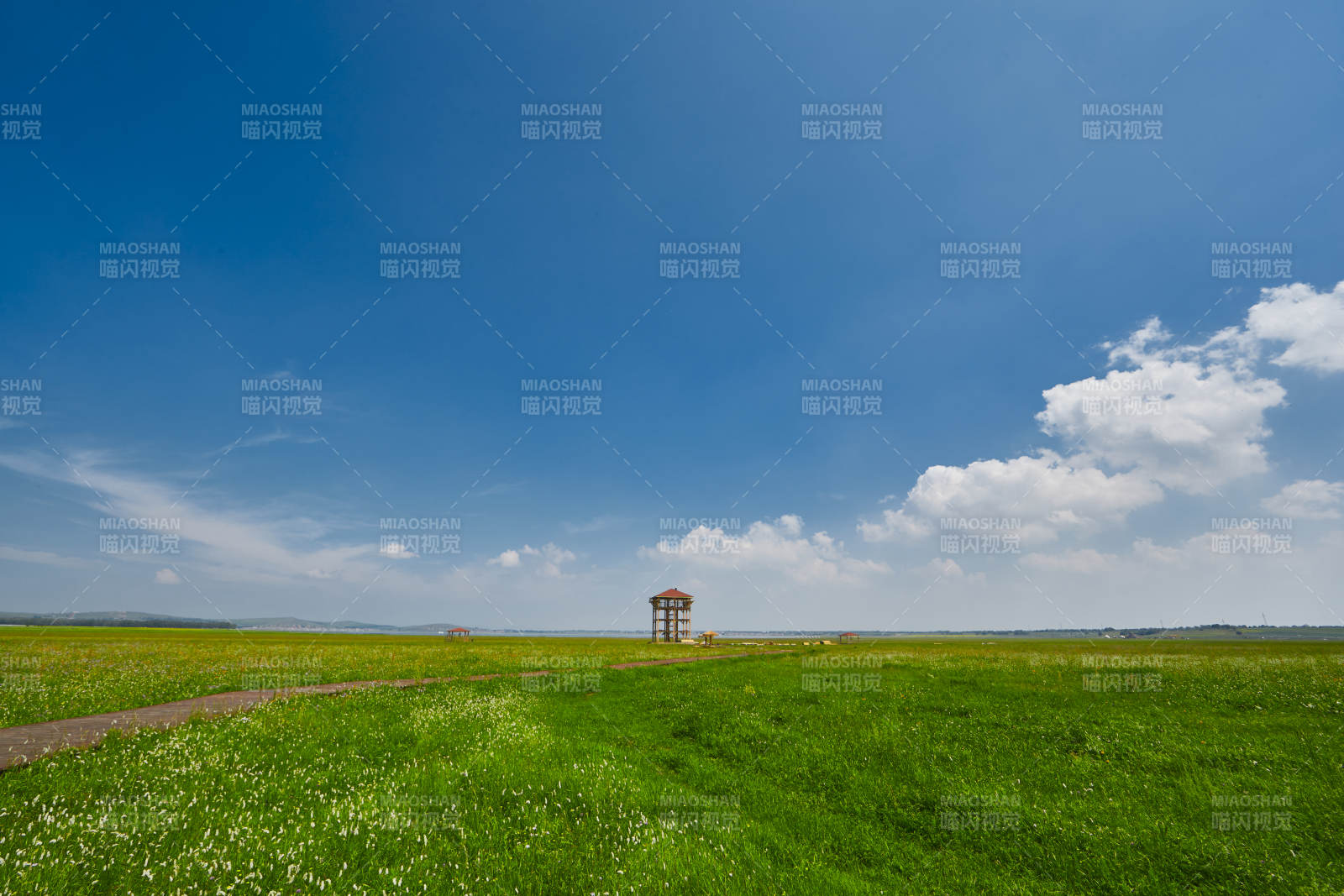 中国河北省张家口沽源县天鹅湖景区湿地花海