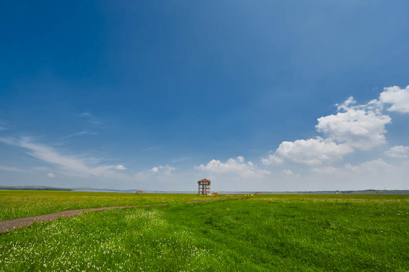 中国河北省张家口沽源县天鹅湖景区湿地花海