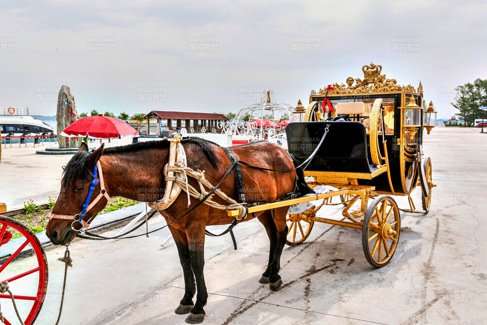 天鹅湖边停放的娱乐童话马车