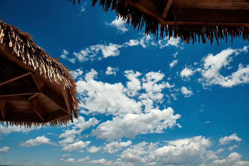 中国河北省张家口沽源县天鹅湖景区湿地花海