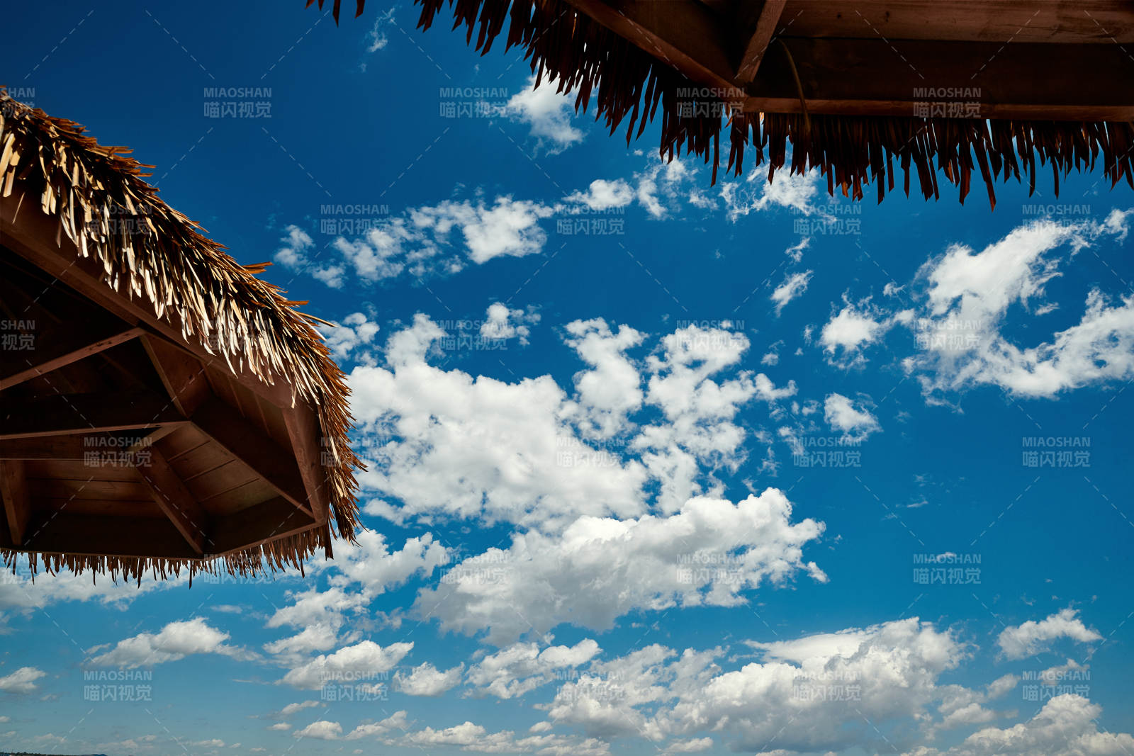 中国河北省张家口沽源县天鹅湖景区湿地花海