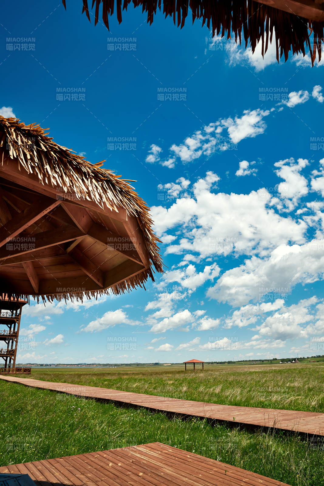 中国河北省张家口沽源县天鹅湖景区湿地花海