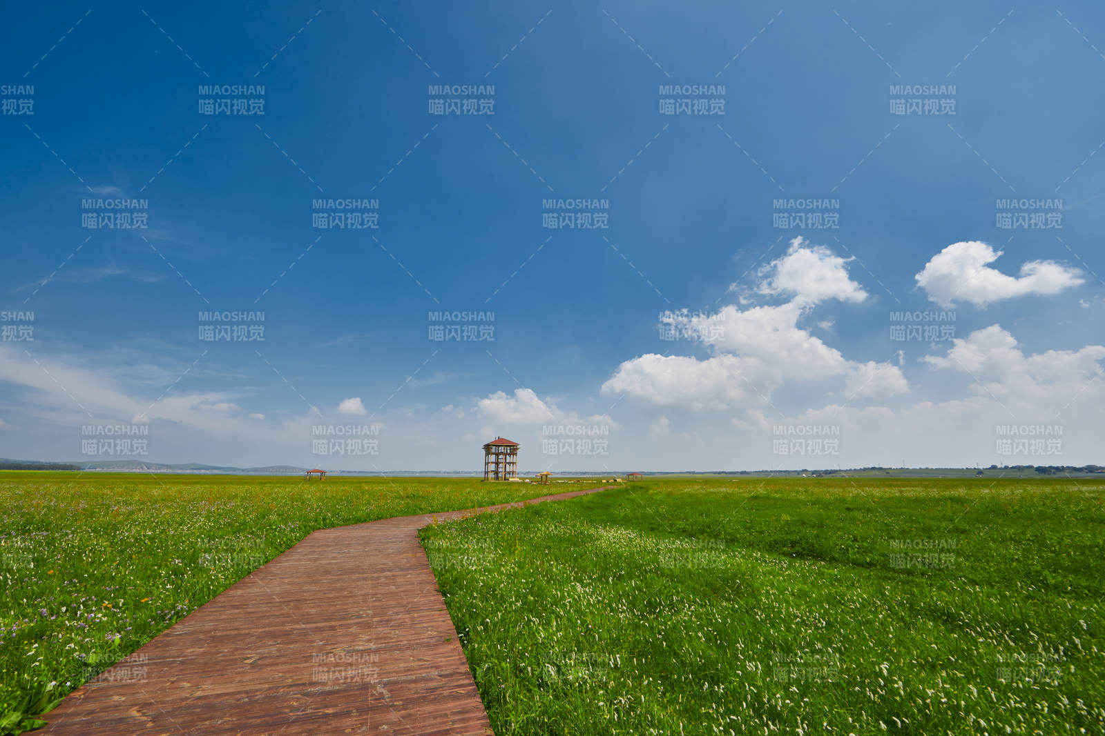 中国河北省张家口沽源县天鹅湖景区湿地花海