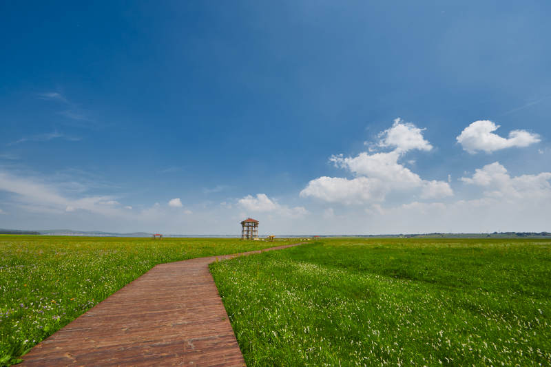 中国河北省张家口沽源县天鹅湖景区湿地花海