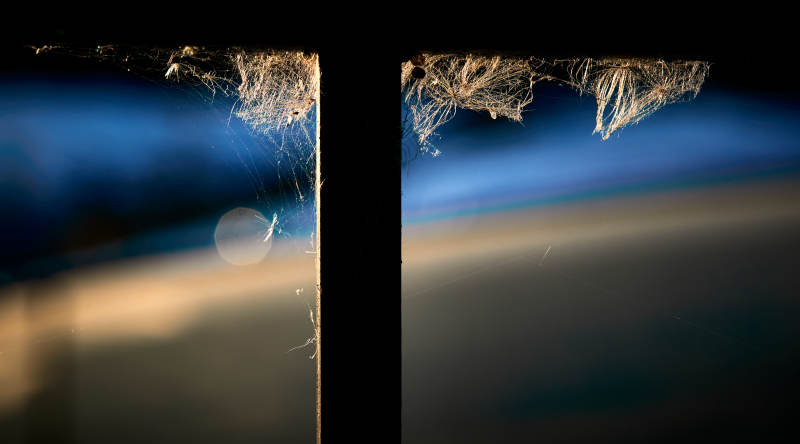 夕阳下微距拍摄的蜘蛛网