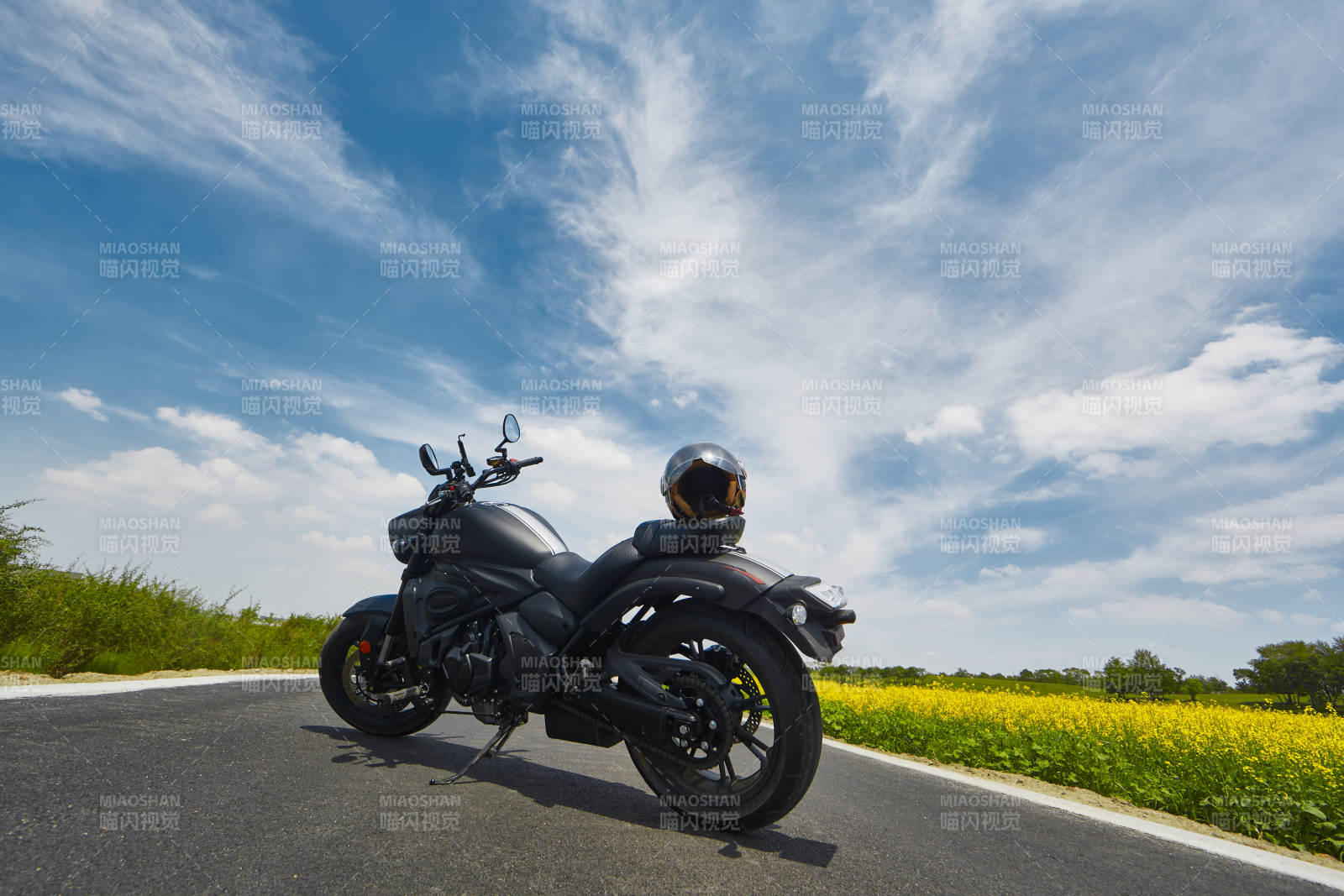 中国河北省张家口沽源县天鹅湖景区油菜花田