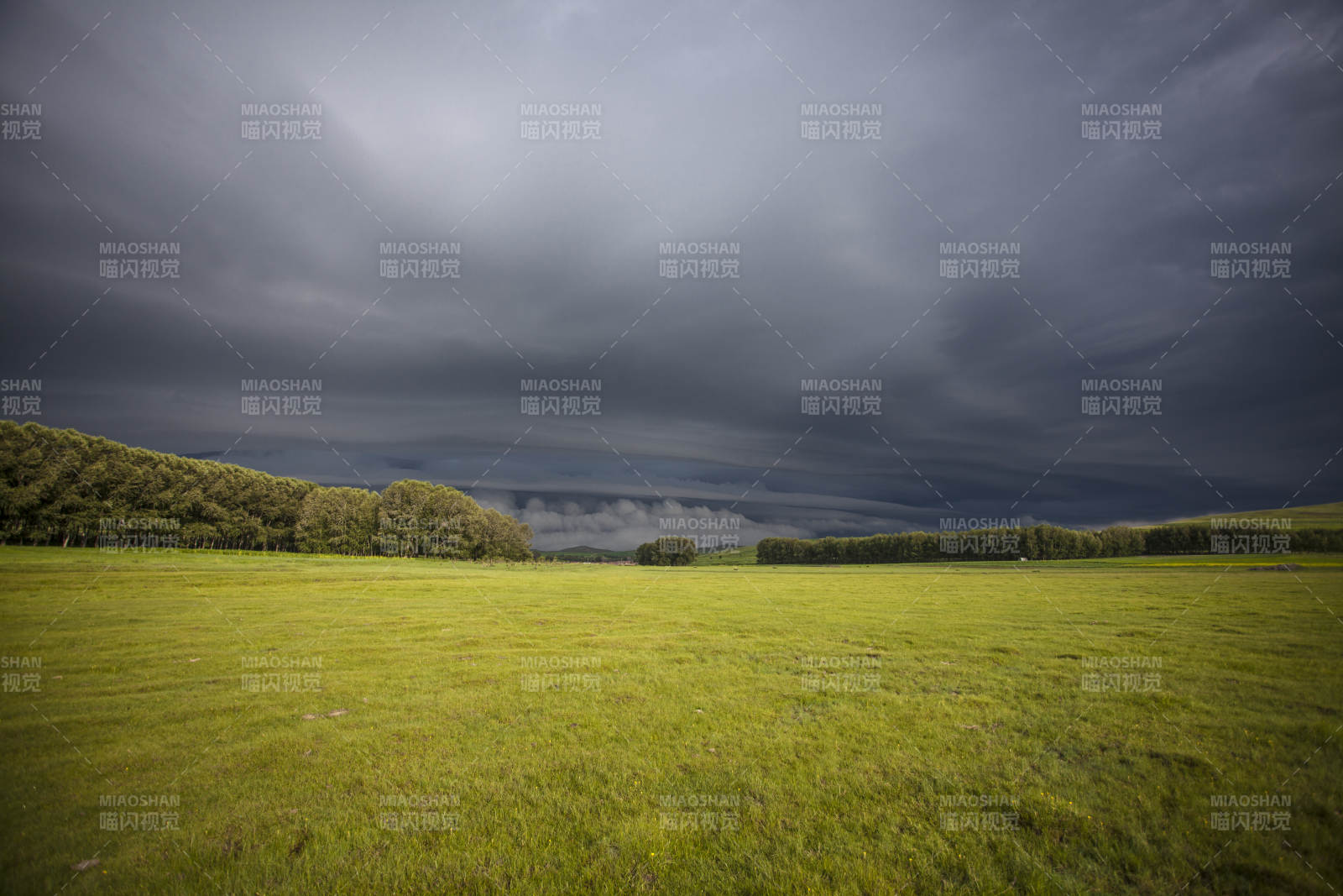 中国河北省张家口地区沽源县天鹅湖景区夏天