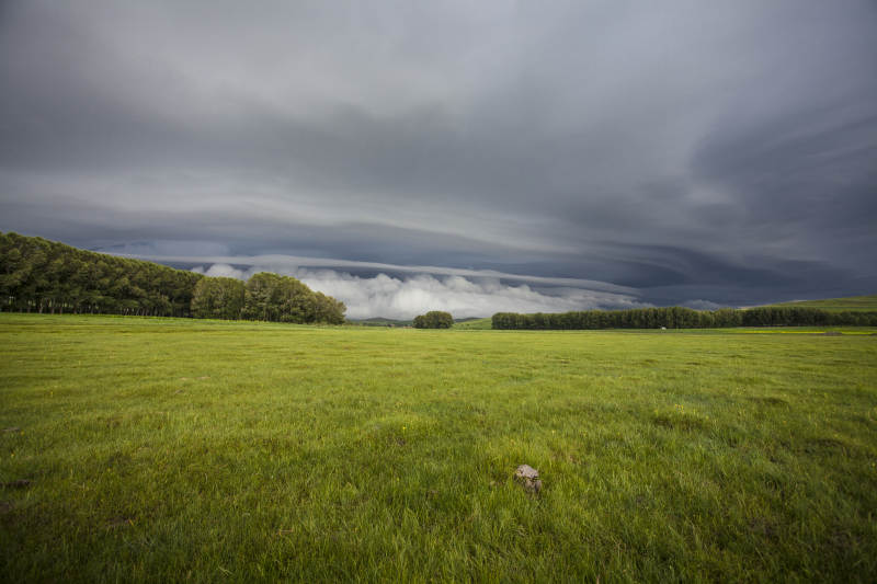 中国河北省张家口地区沽源县天鹅湖景区夏天