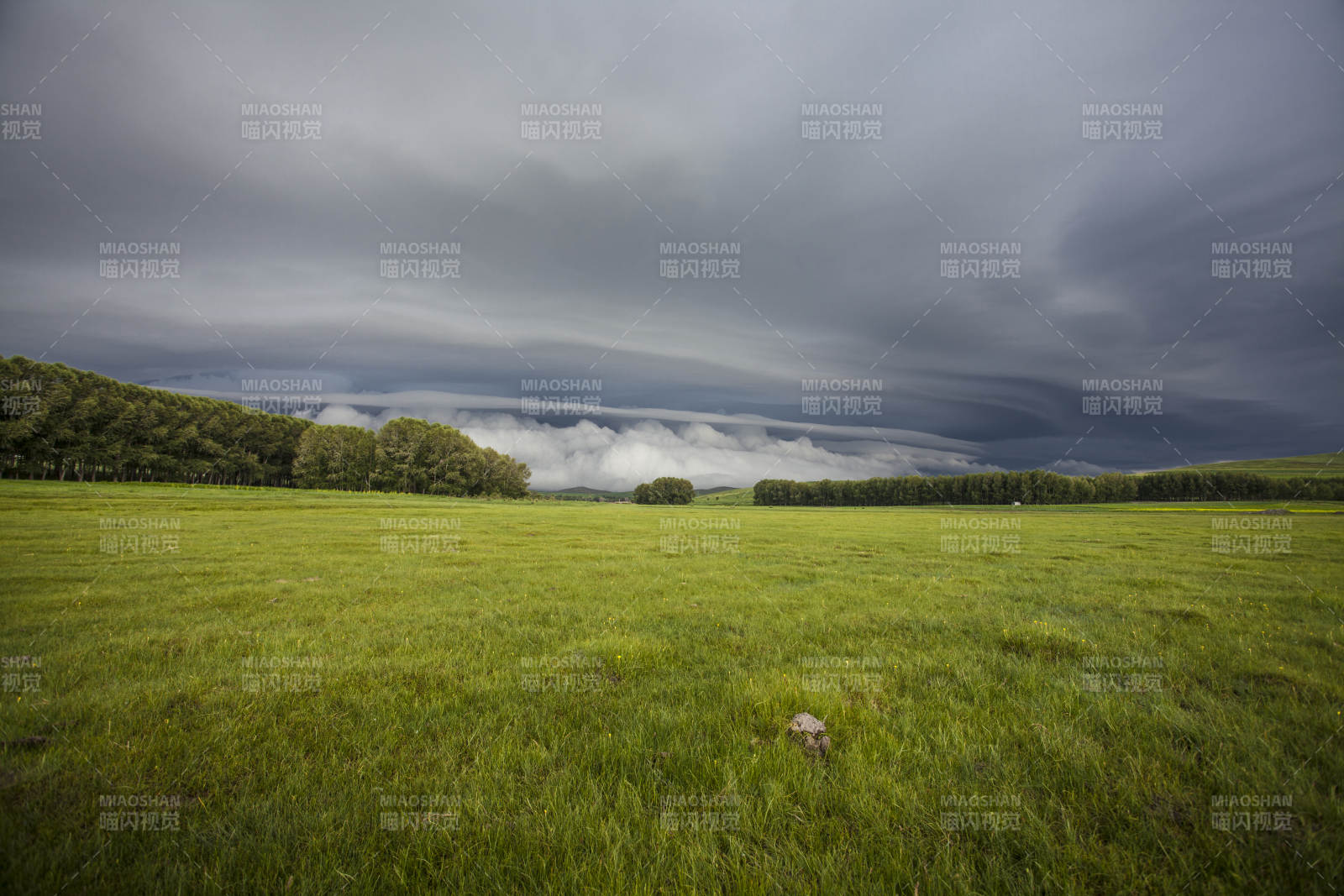 中国河北省张家口地区沽源县天鹅湖景区夏天