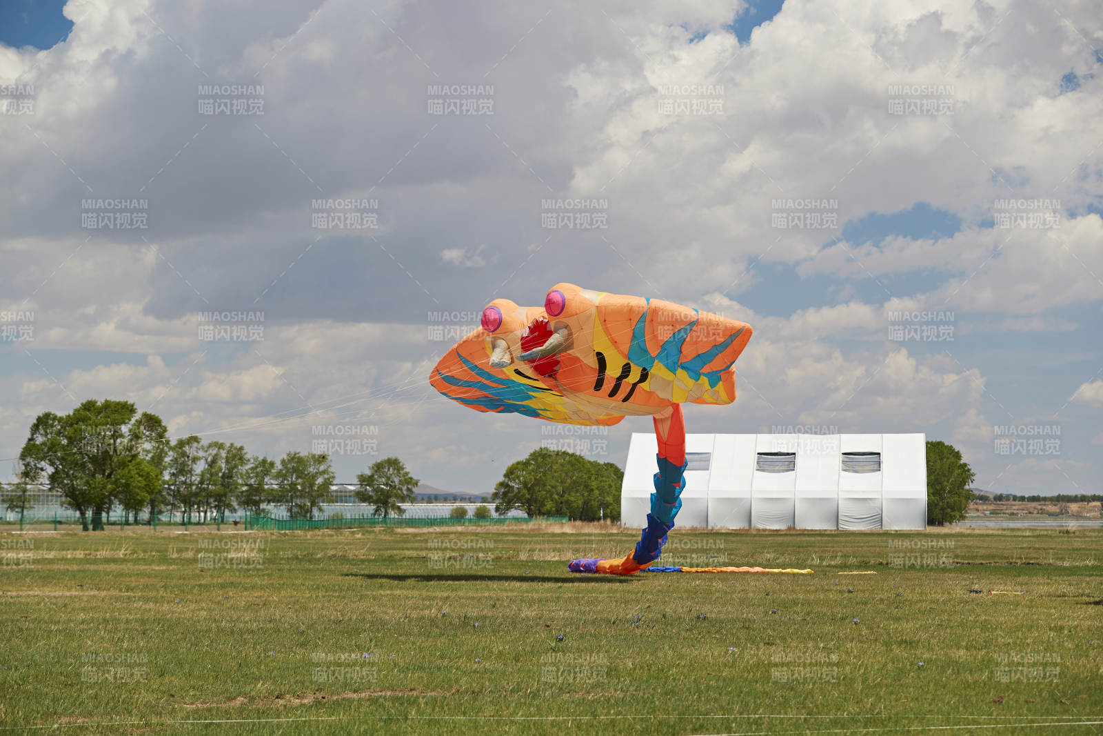 坝上草原风筝节上天空飞舞的风筝图片
