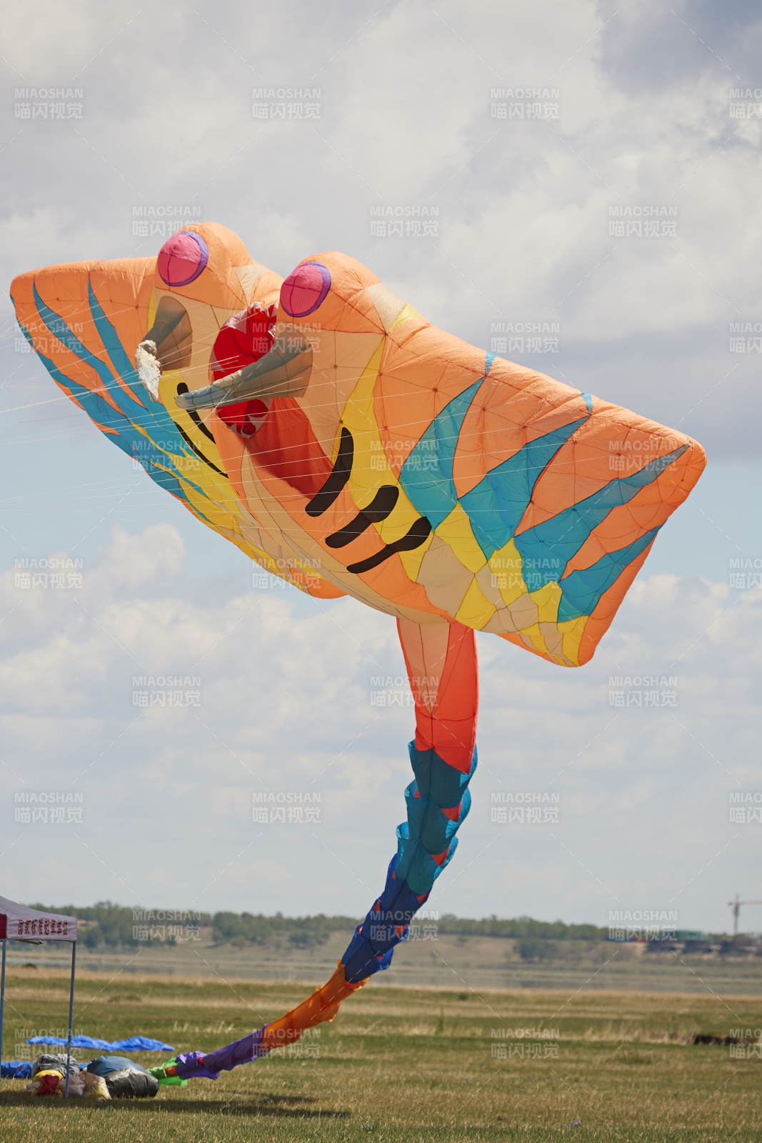 坝上草原风筝节上天空飞舞的风筝图片
