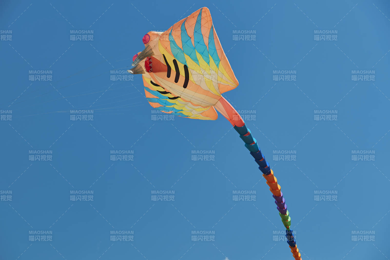 坝上草原风筝节上天空飞舞的风筝图片