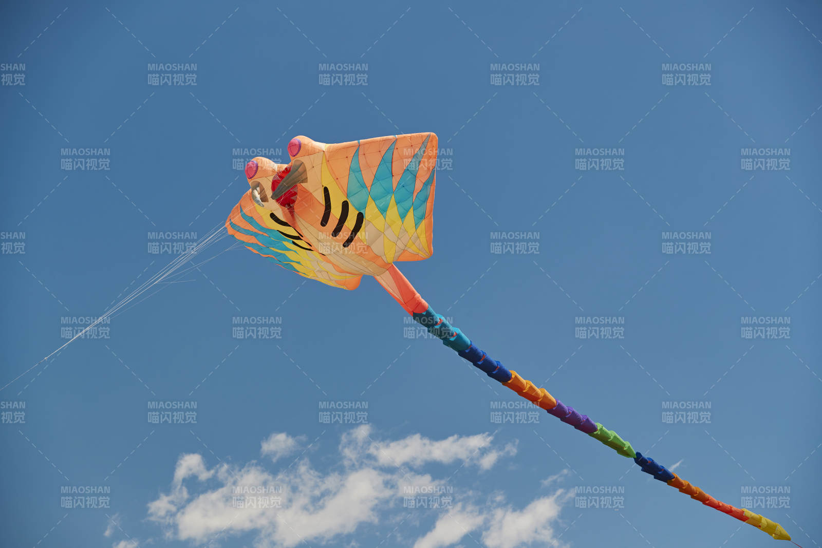 坝上草原风筝节上天空飞舞的风筝图片