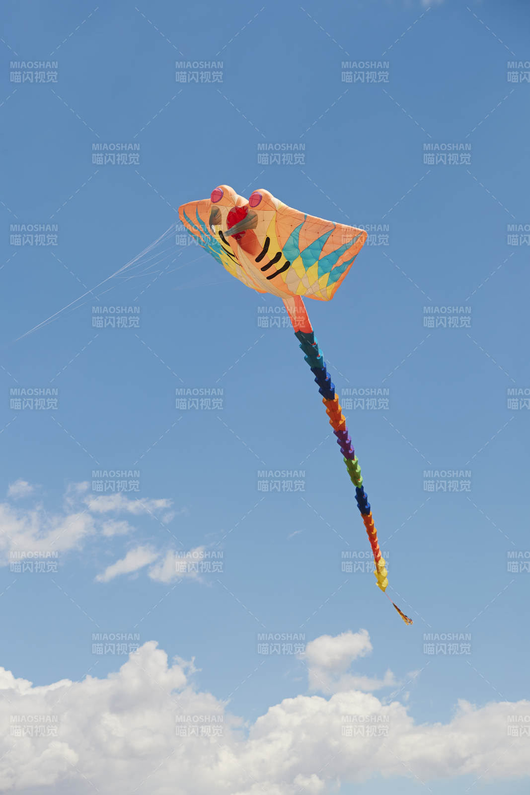 坝上草原风筝节上天空飞舞的风筝图片