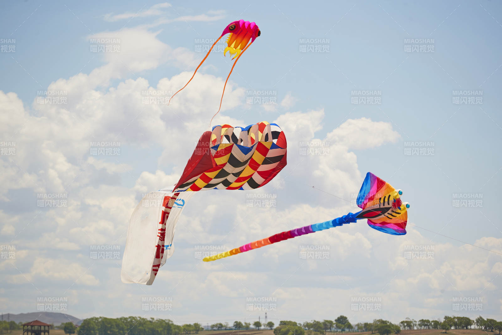 坝上草原风筝节上天空飞舞的风筝图片