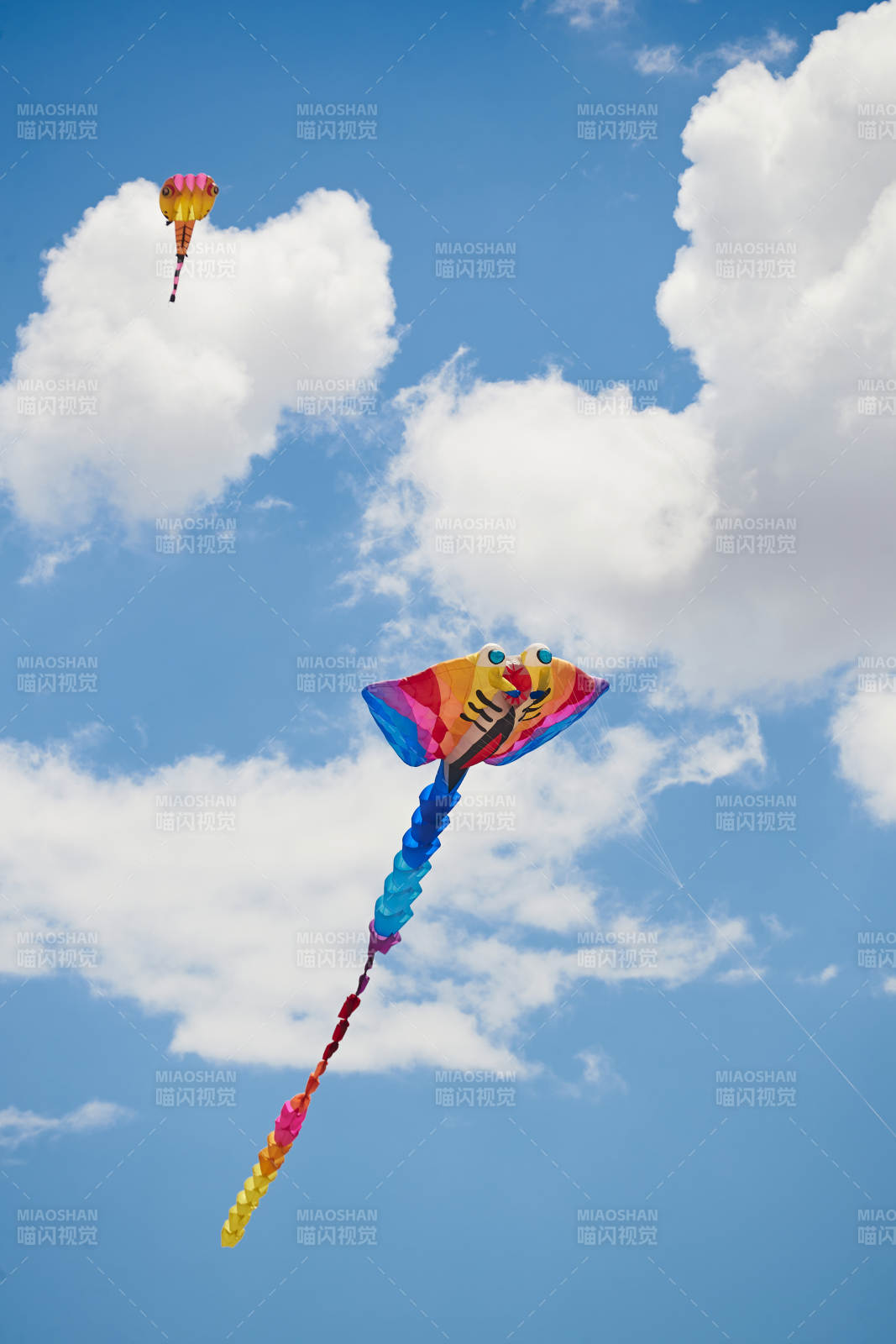 坝上草原风筝节上天空飞舞的风筝