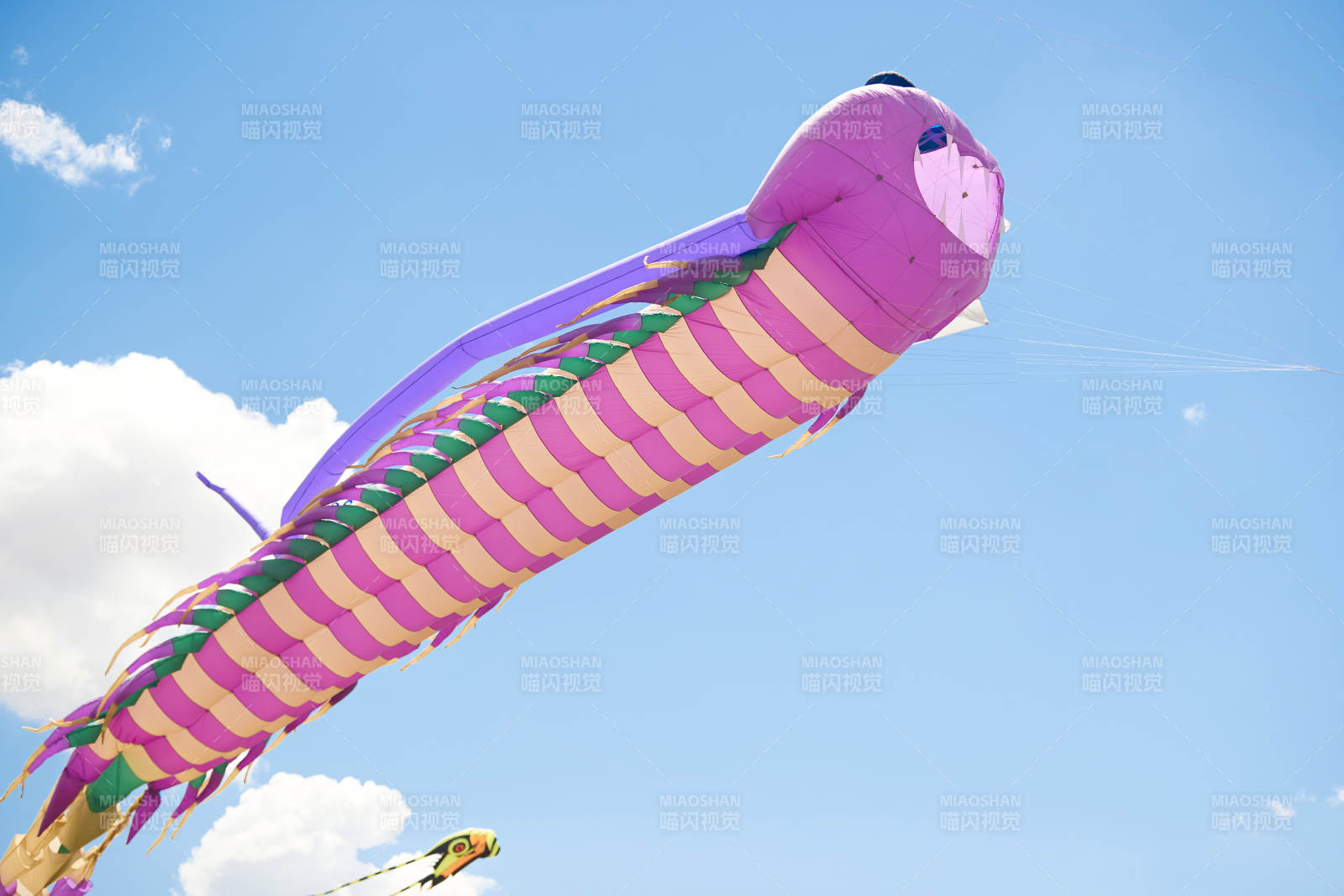 坝上草原风筝节上天空飞舞的风筝