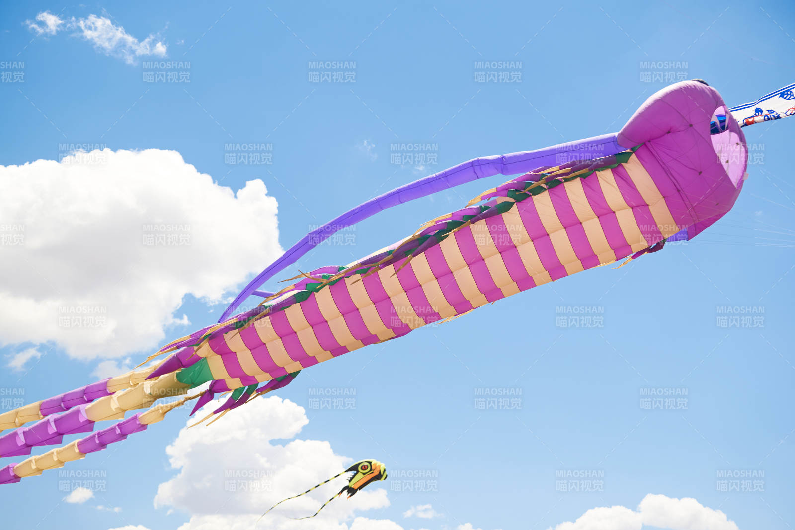 坝上草原风筝节上天空飞舞的风筝