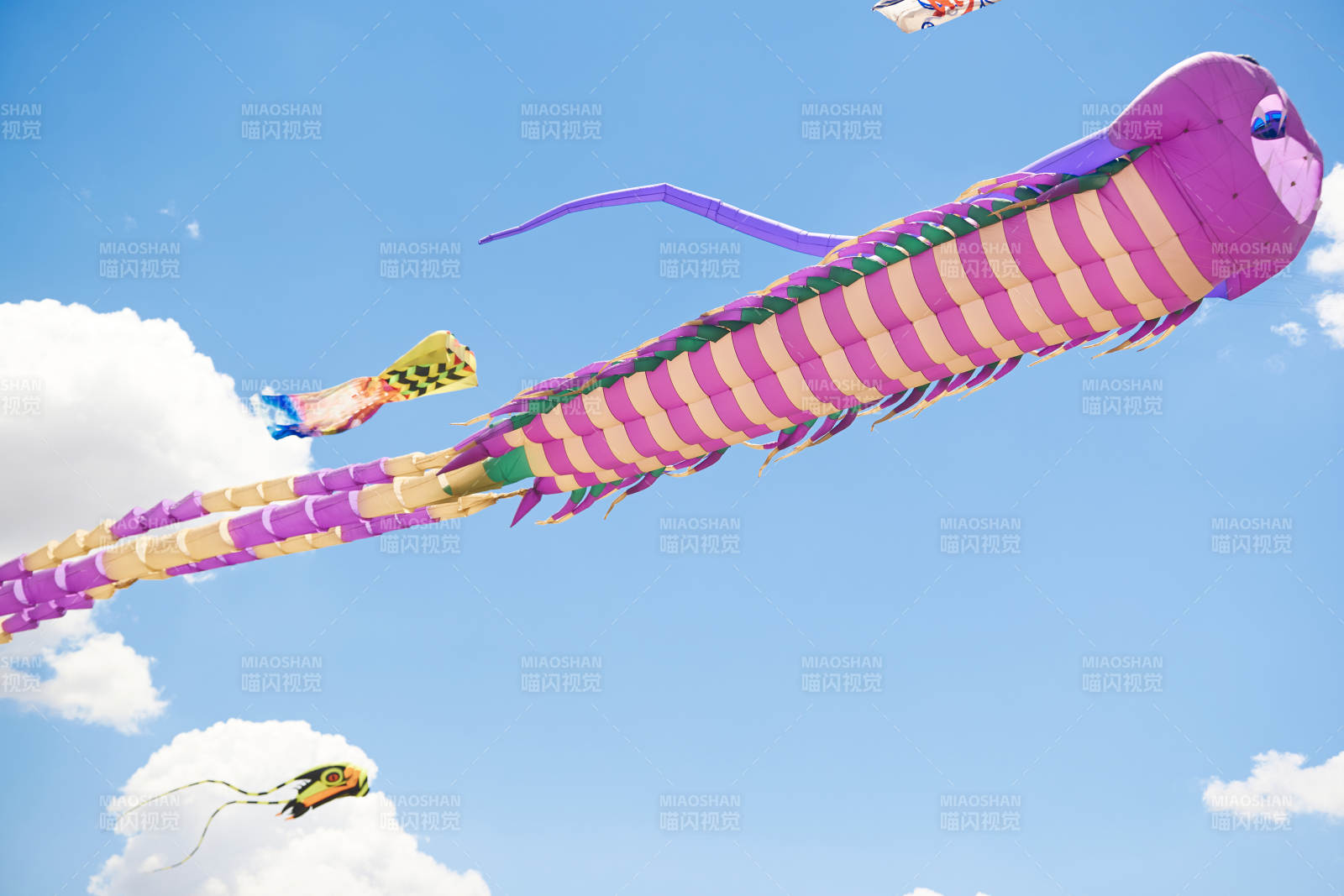 坝上草原风筝节上天空飞舞的风筝