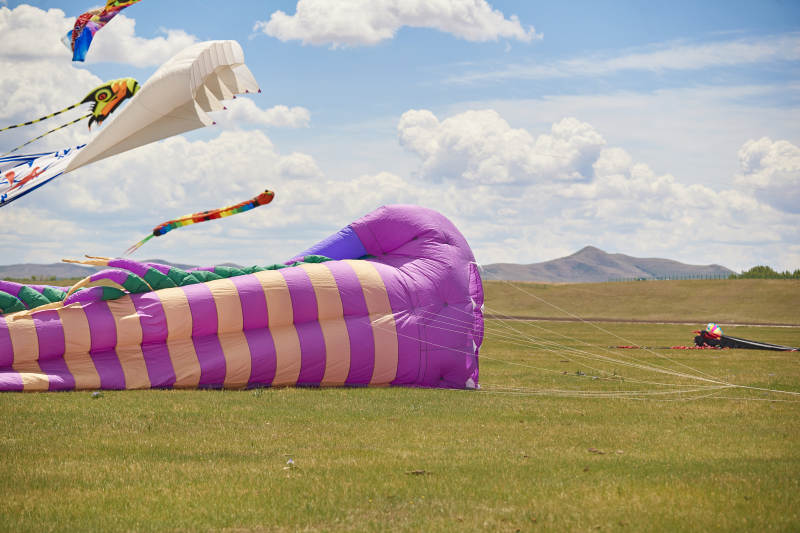 坝上草原风筝节上天空飞舞的风筝