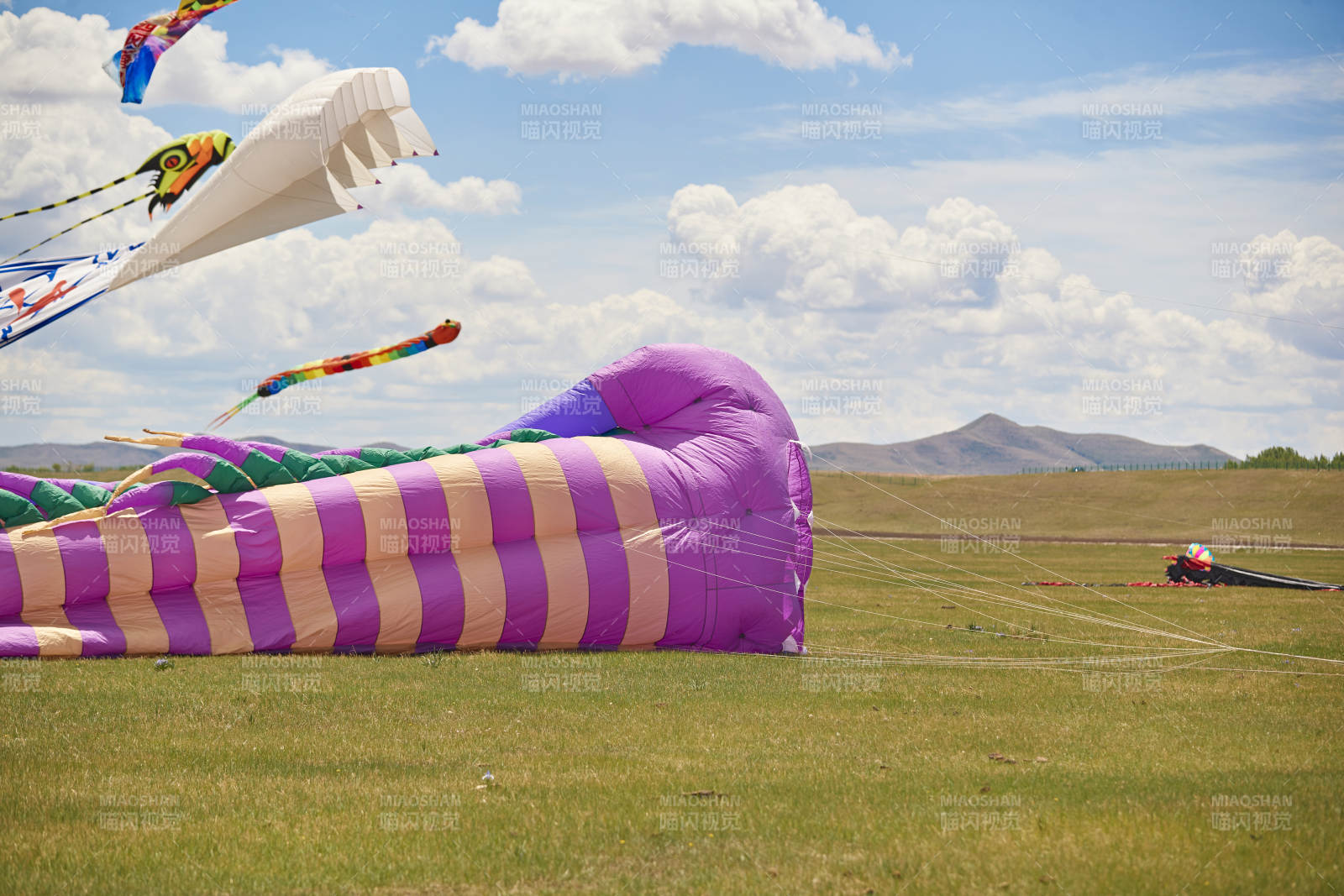 坝上草原风筝节上天空飞舞的风筝