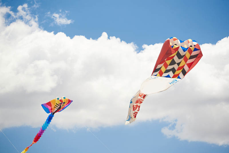 坝上草原风筝节上天空飞舞的风筝