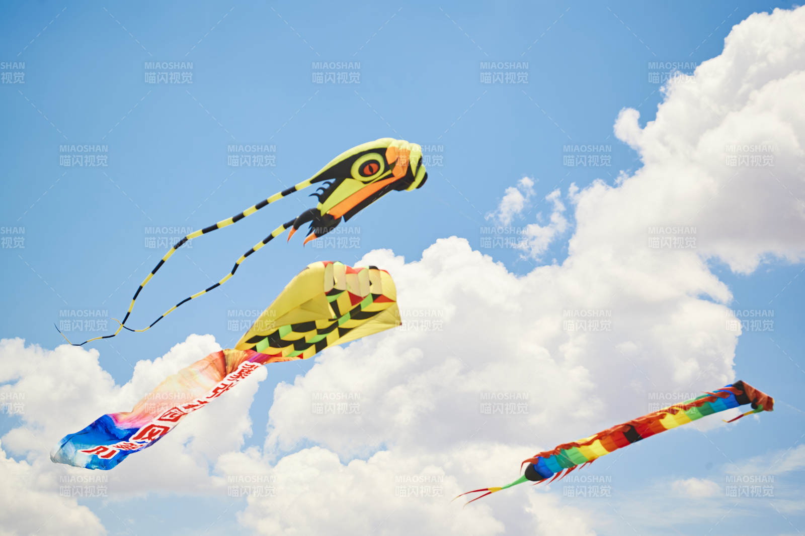 坝上草原风筝节上天空飞舞的风筝