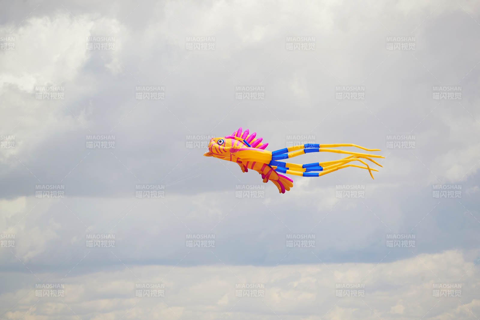 坝上草原风筝节上天空飞舞的风筝