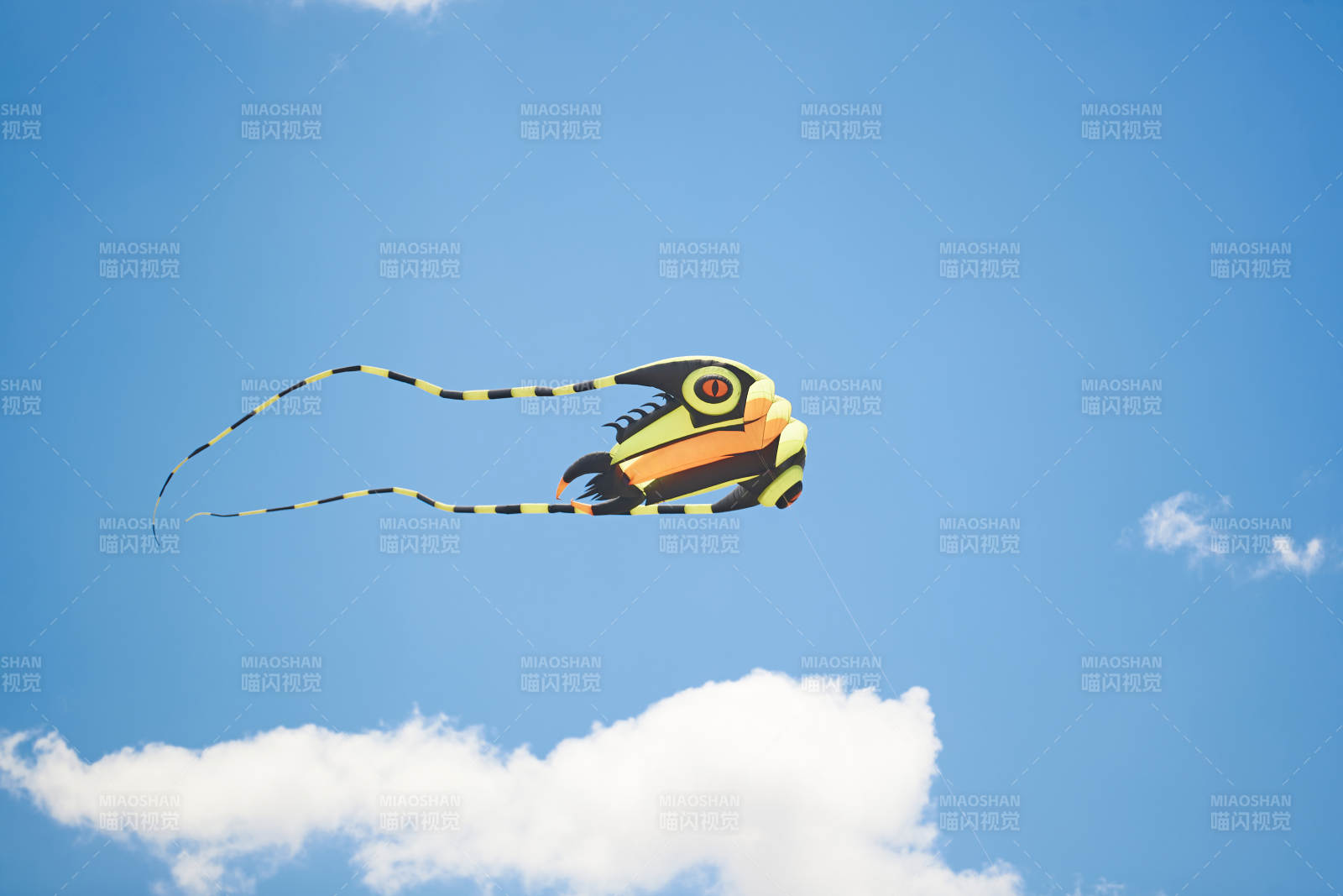 坝上草原风筝节上天空飞舞的风筝