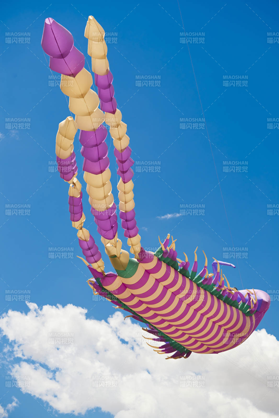 坝上草原风筝节上天空飞舞的风筝