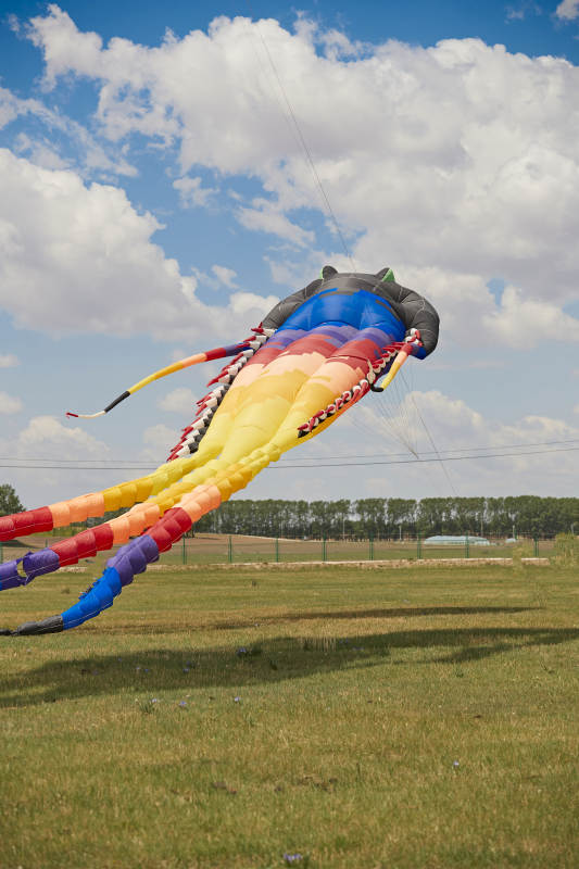 坝上草原风筝节上天空飞舞的风筝