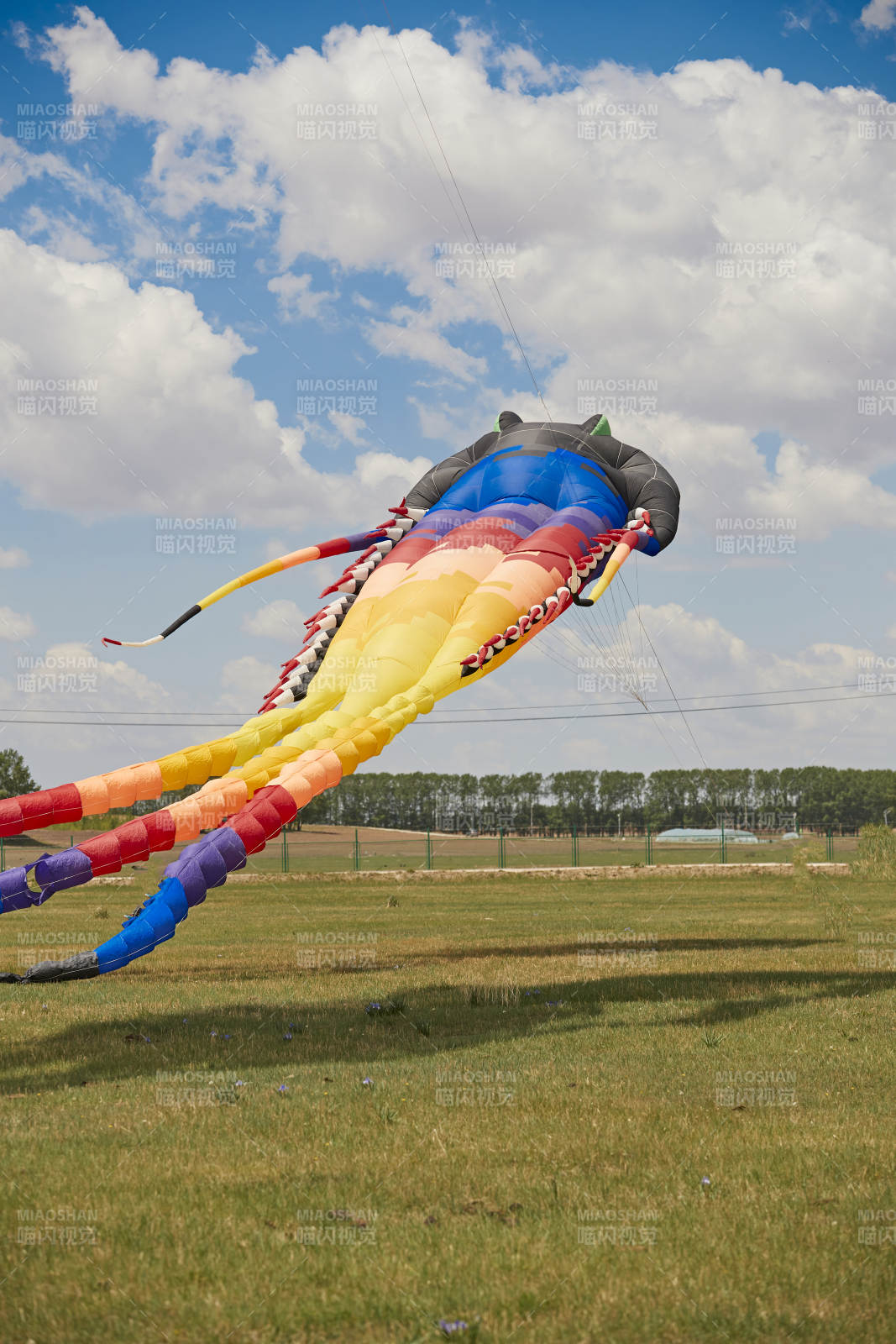 坝上草原风筝节上天空飞舞的风筝