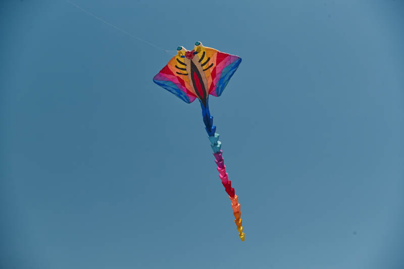 坝上草原风筝节上天空飞舞的风筝