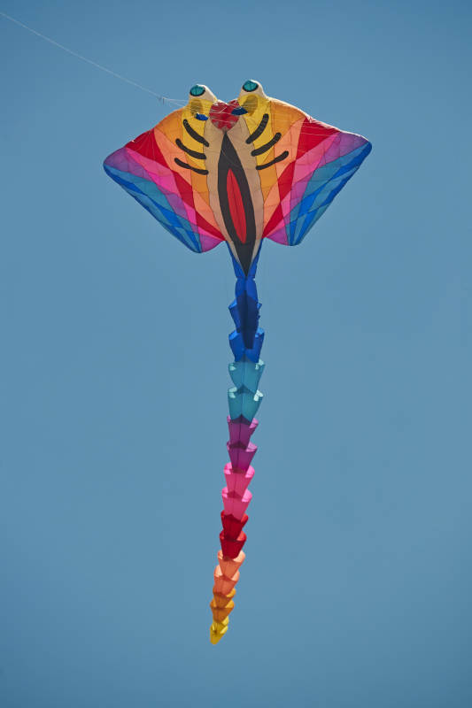 坝上草原风筝节上天空飞舞的风筝