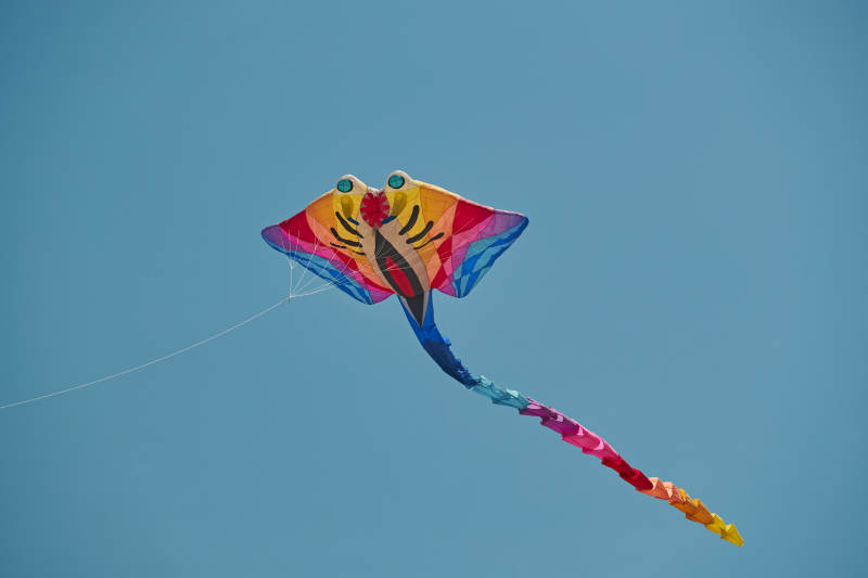 坝上草原风筝节上天空飞舞的风筝