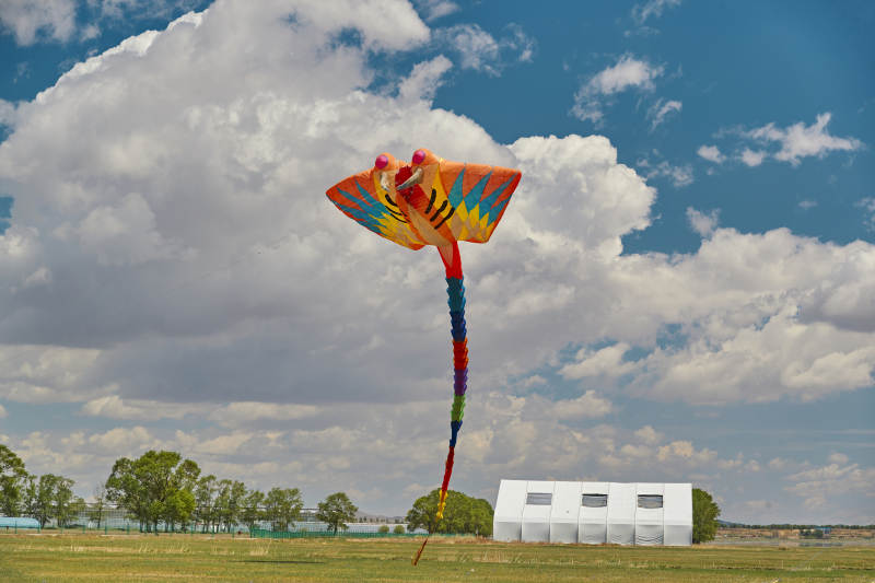 坝上草原风筝节上天空飞舞的风筝