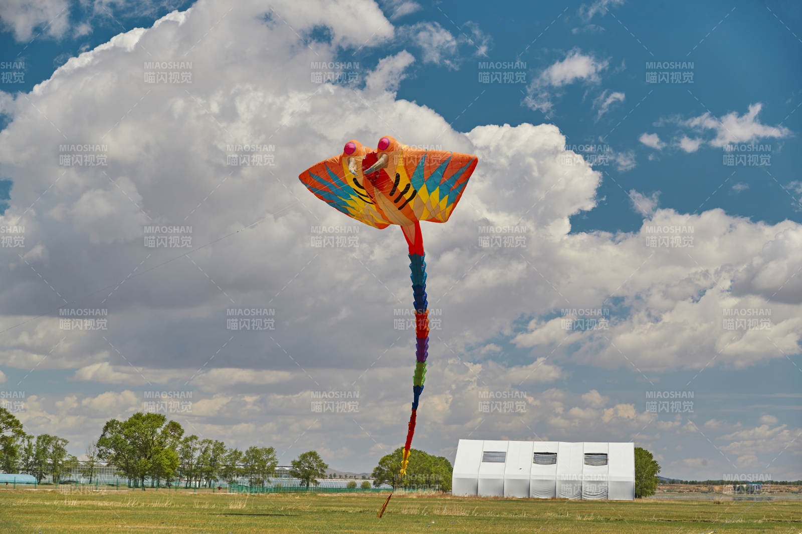 坝上草原风筝节上天空飞舞的风筝