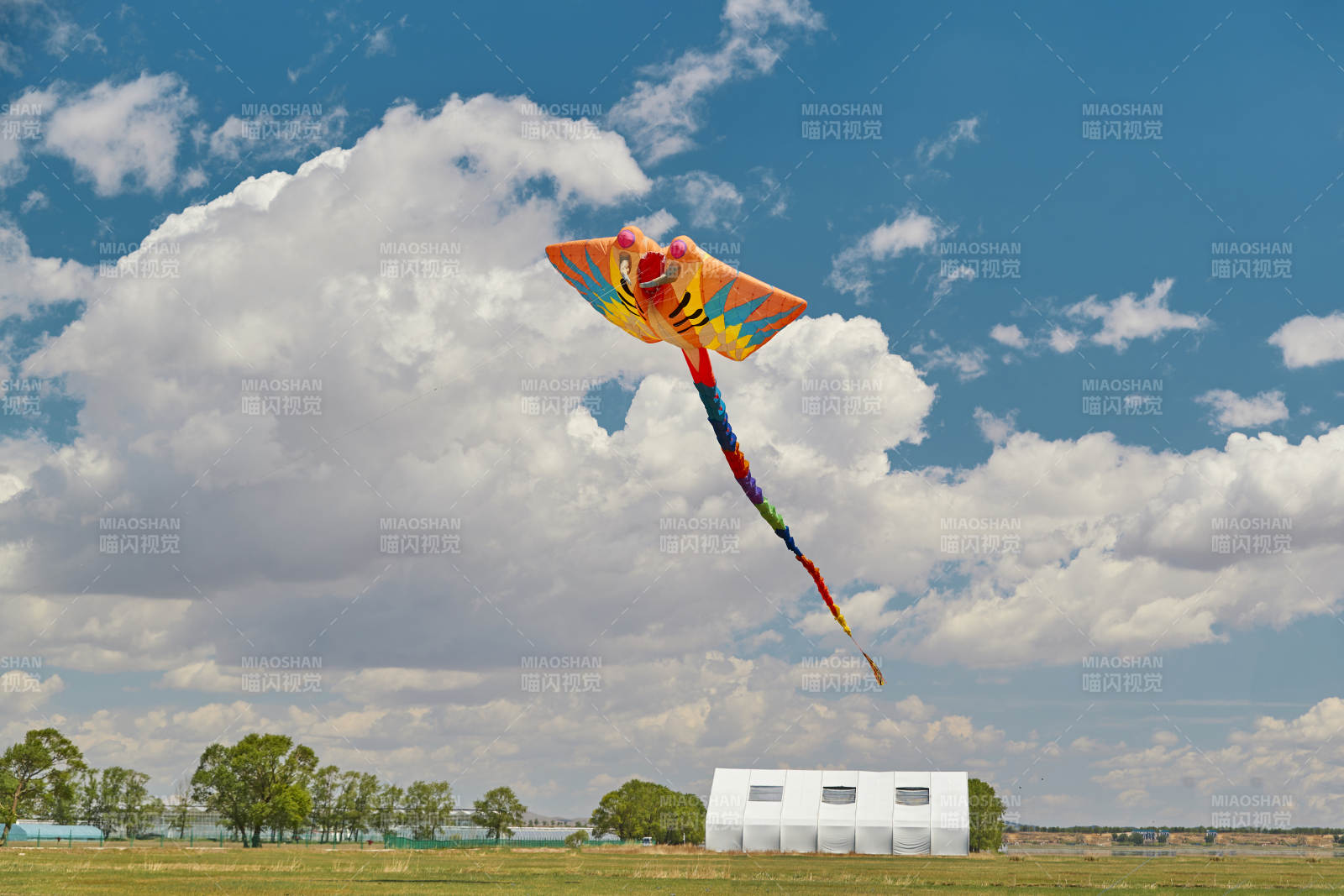 坝上草原风筝节上天空飞舞的风筝