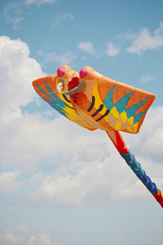 坝上草原风筝节上天空飞舞的风筝