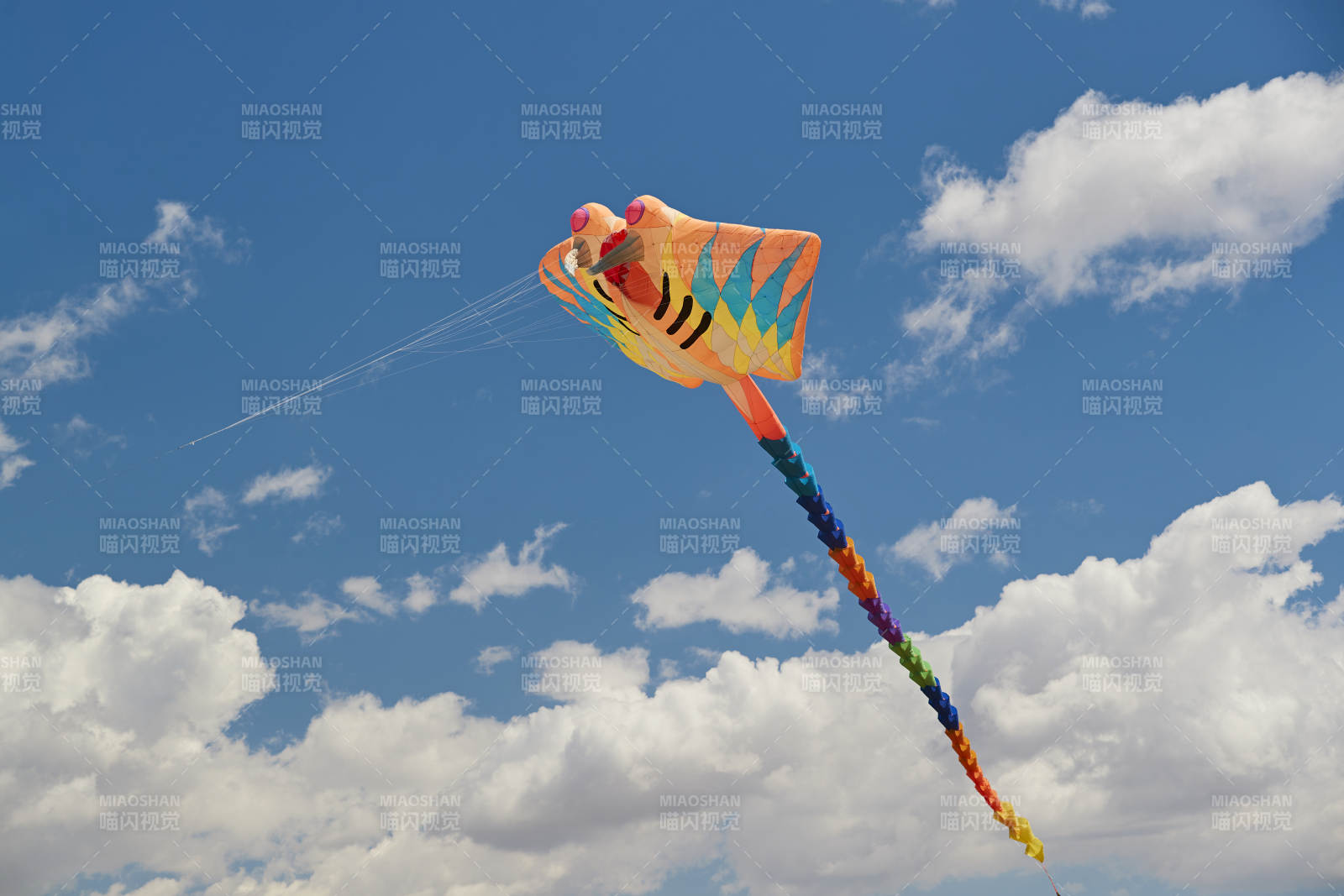 坝上草原风筝节上天空飞舞的风筝