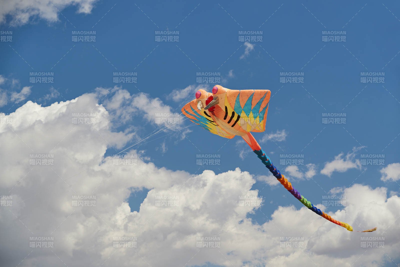 坝上草原风筝节上天空飞舞的风筝