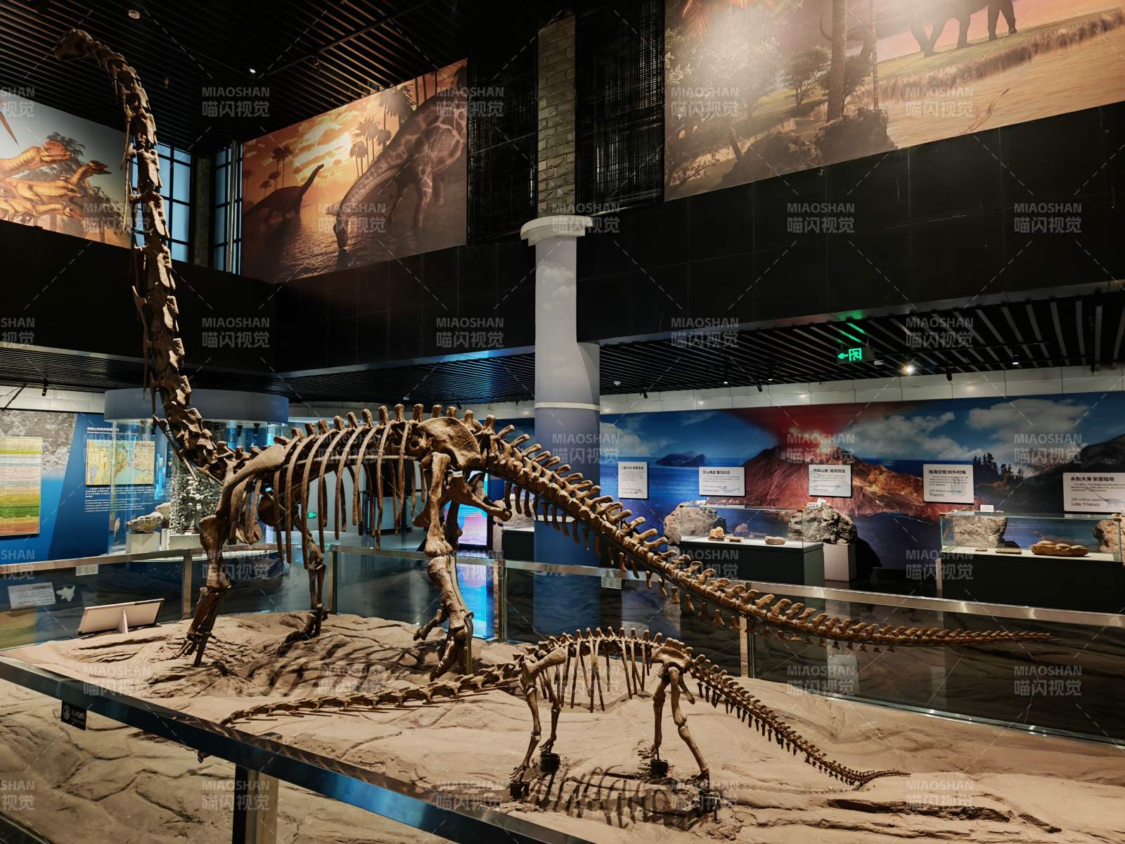 恐龙化石展览