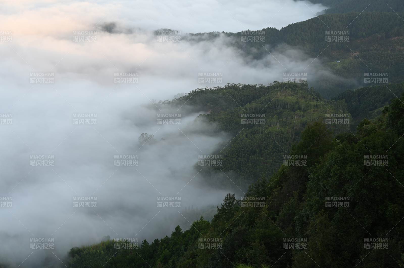 福建永泰仙媽殿云海