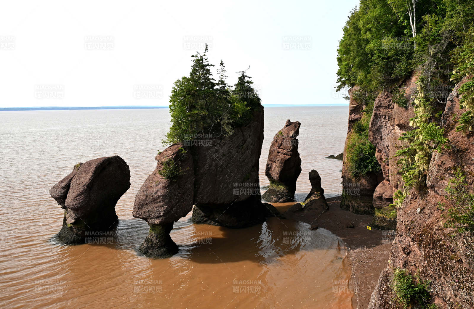 加拿大芬迪灣的花盆巖