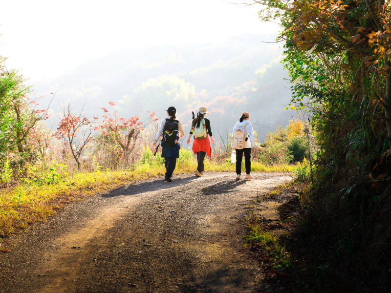 秋日山徑三人行