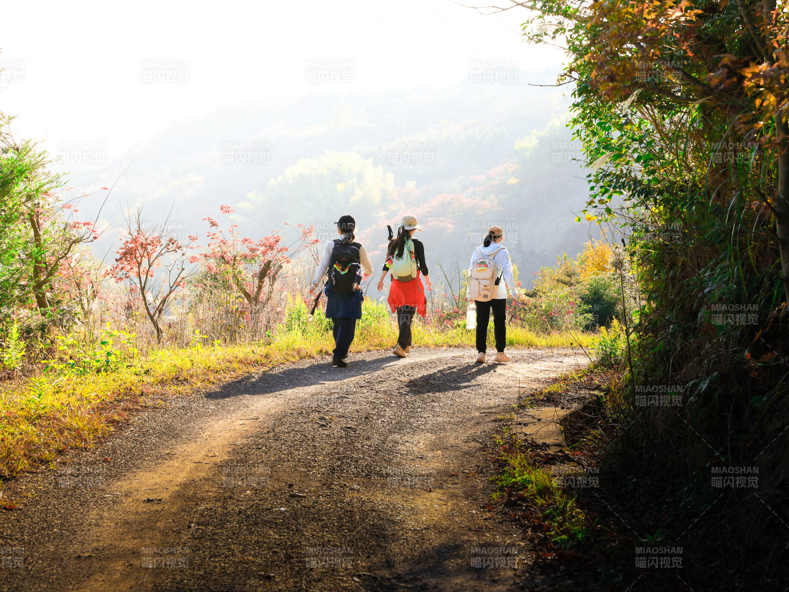 秋日山徑三人行