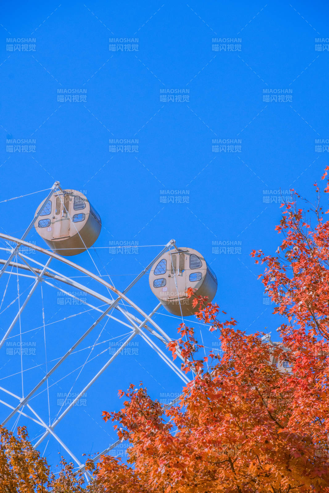 秋日摩天輪
